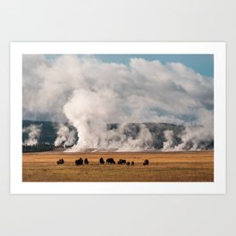 Bison Herd Framed by Steaming Geysers Art Print