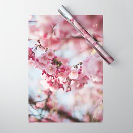 Cherry Blossom, Sakura Flower Wrapping Paper