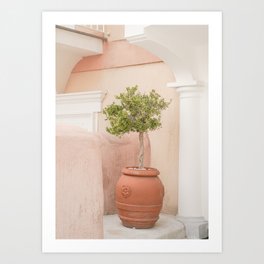 Pink Pastels in Positano, Italy | Green Plant Botanical Art Print | Boho Architecture Travel Photography Art Print