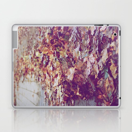 Autumn Path Laptop & iPad Skin