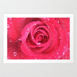 Romantic red rose Art Print