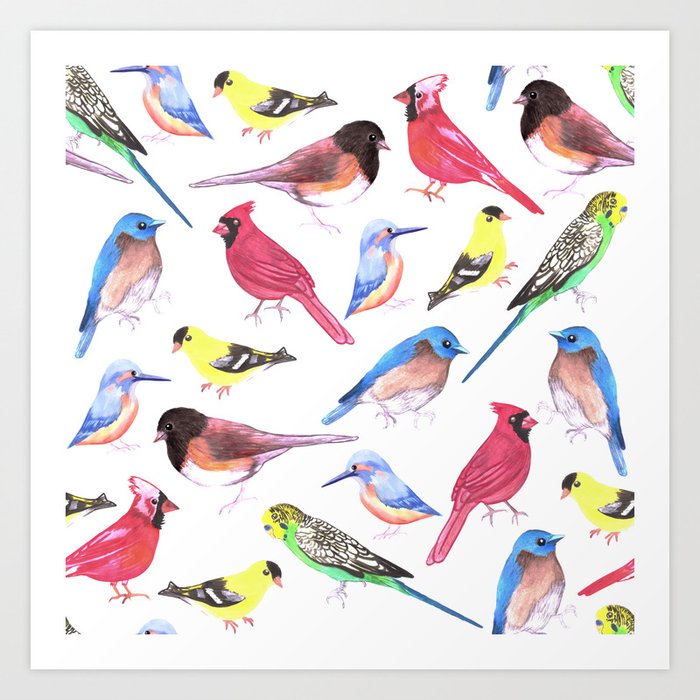 Colorful birds in tetrad color scheme Art Print