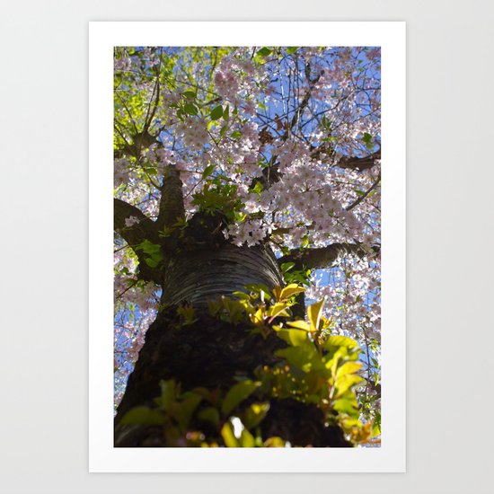 Pretty in Pink Art Print