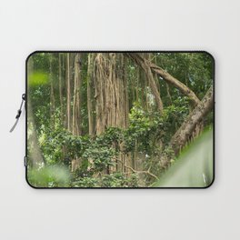 Brazil Photography - Tall Tropical Trees In The Rain Forest Laptop Sleeve