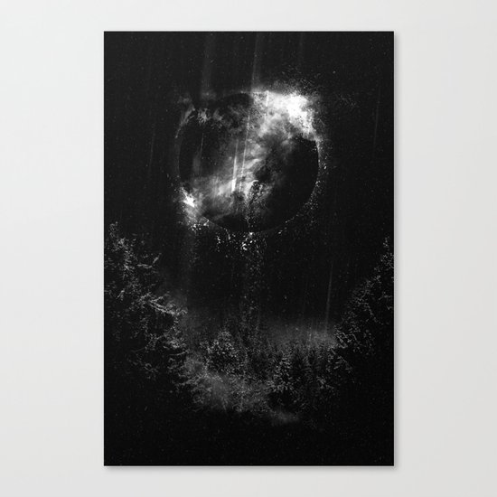 Im so sorry II Canvas Print