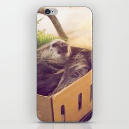 Sloth in a Box iPhone Skin