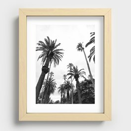 Black and White Palm Trees Recessed Framed Print