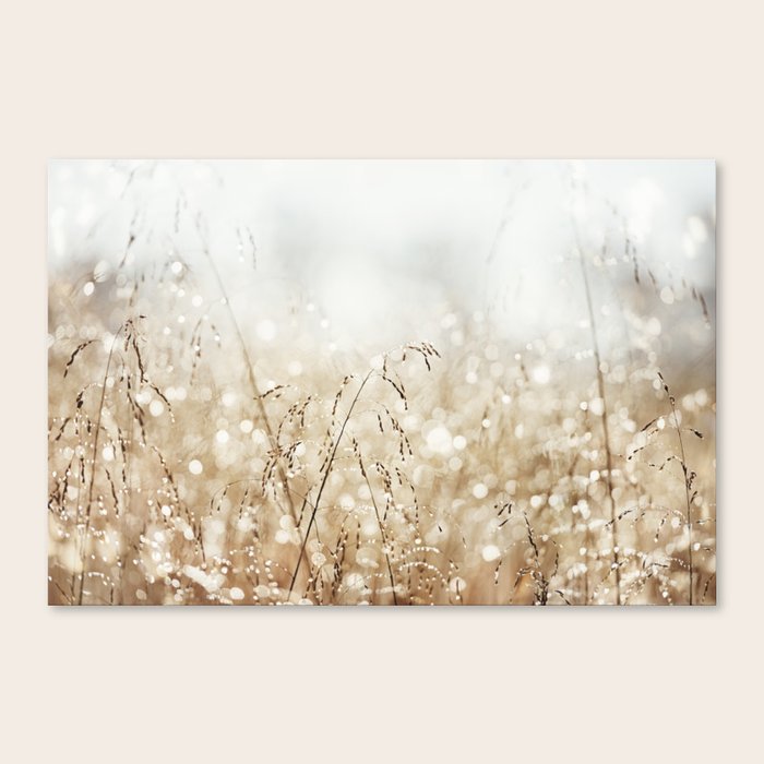 Dewdrop Nature Photography Neutral Dew Drop Gold White Brown Beige Cream Water Drops Canvas Print By Carolyncochrane Society6 Shop all canvas & surfaces. dewdrop nature photography neutral dew drop gold white brown beige cream water drops canvas print by carolyncochrane