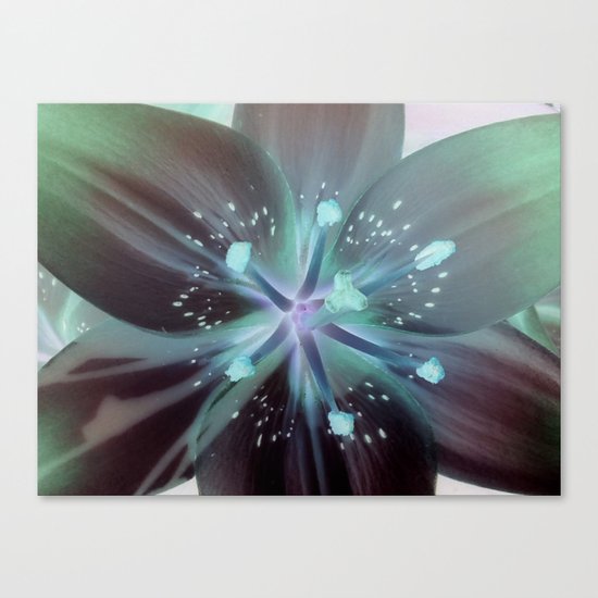 Celeste Canvas Print