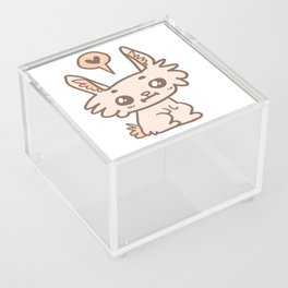 Bunny Friend Acrylic Box