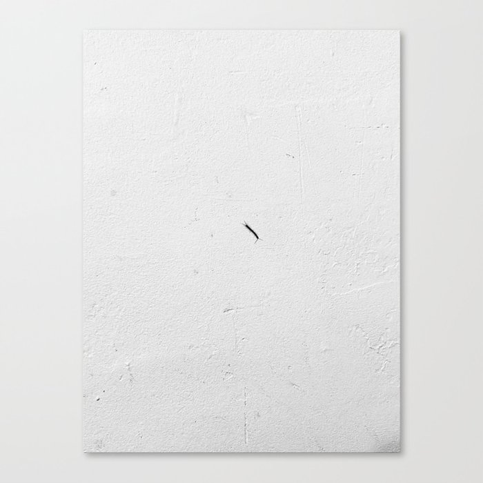 Centipede Tedium Canvas Print