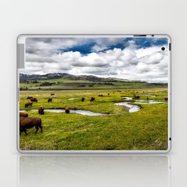 Yellowstone, Home on the range, American buffalo / bison grazing in spring fields of green river prairie landscape color photograph / photography Laptop Skin