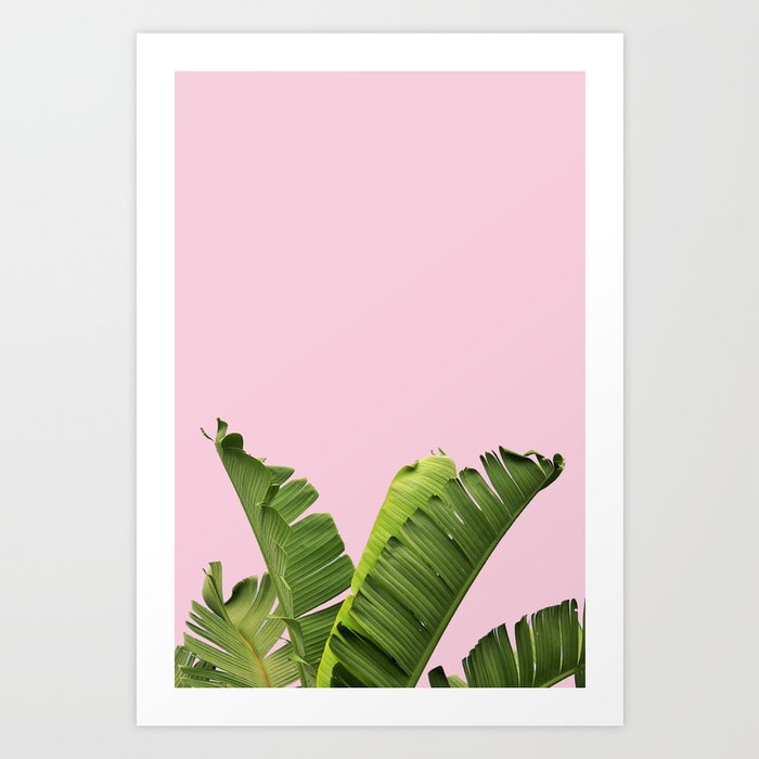 Pink Tropical Banana Leaves Art Print