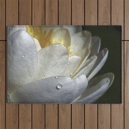 Water Lily Simplicity Outdoor Rug