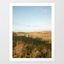 Wild Algarve | Portugal sunset travel photography Art Print