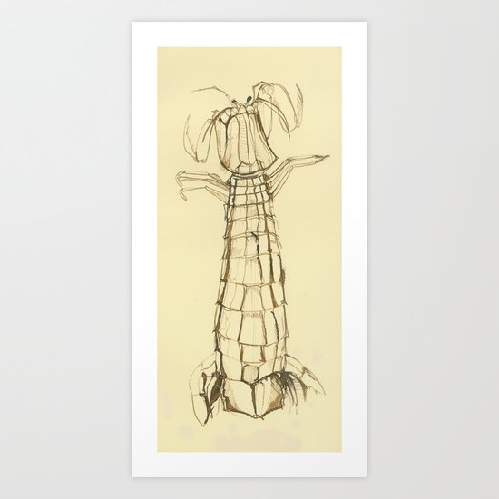 Mantis Shrimp Art Print