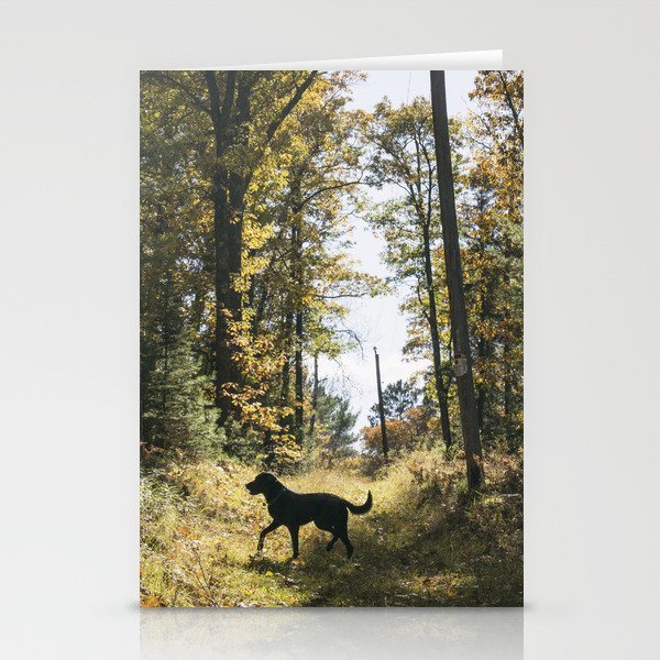A Walk with Charlie Stationery Cards