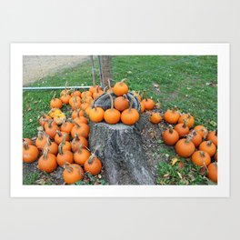 Pumpkins on a Stump Art Print