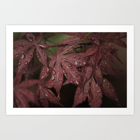 Red Leaves Art Print