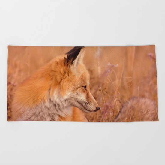 Found Fox Beach Towel