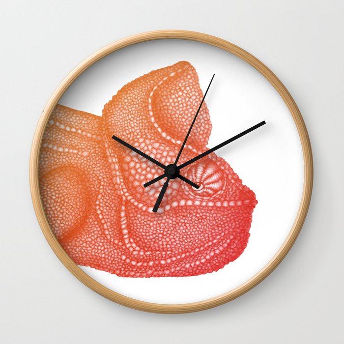 Ombre Chameleon Wall Clock