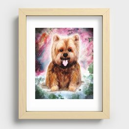 Yala the Yorkshire Terrier Recessed Framed Print