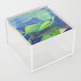 Bluegill Sunfish hooked with a jig lure underwater among green foliage Acrylic Box