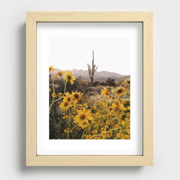Desert Superbloom I Recessed Framed Print