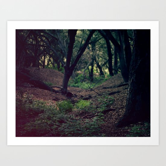 Forest Art Print