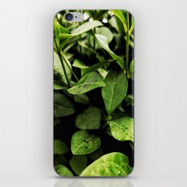 nature love iPhone Skin