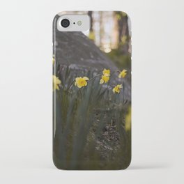 daffodils iPhone Case