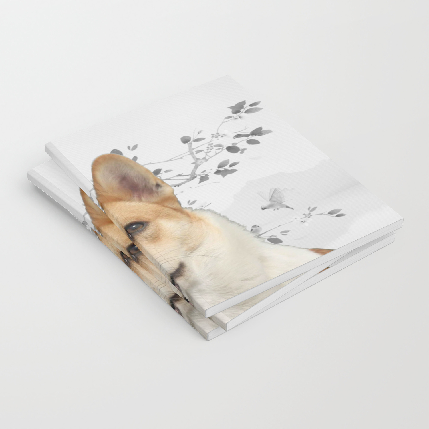 Cute Little Corgi With Tree Blossom Cherry Sakura Black And Withe