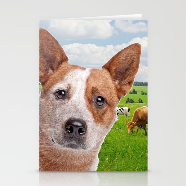 Australian Cattle Dog Red Stationery Cards