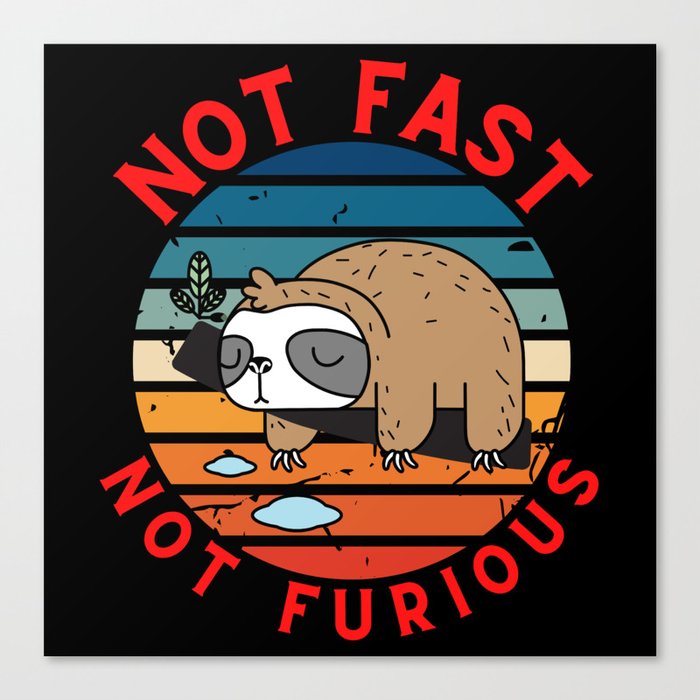 Not Fast Not Furious Canvas Print