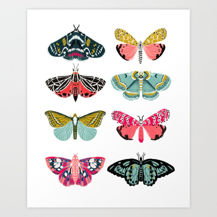 Moths - white background, moth print, moth art, moth sticker, moths, moth art Art Print