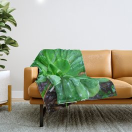 Giant succulent flower Throw Blanket