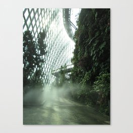 Cloud Forest V Canvas Print