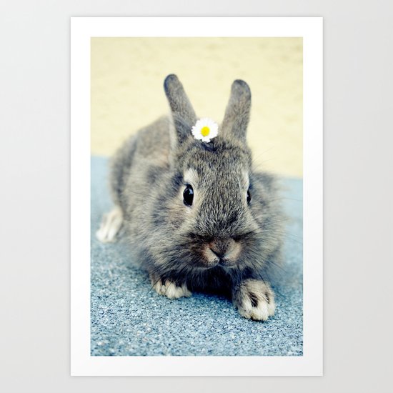Bunny Art Print