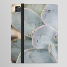 Mexico Photography - The Echeveria Lilacina Plant iPad Folio Case