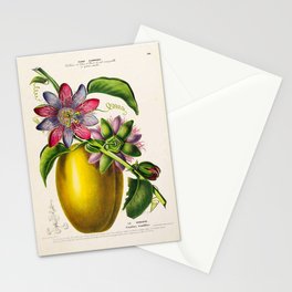 Passionflower and passionfruit from "Flore d’Amérique" by Étienne Denisse, 1840s Stationery Card