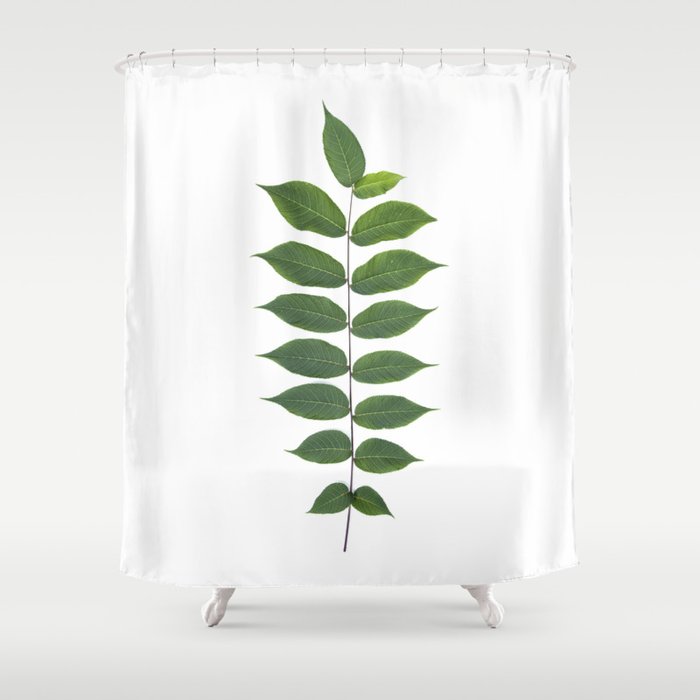 Green Leaf Botanical Print Shower Curtain By Wildpoetry Society6