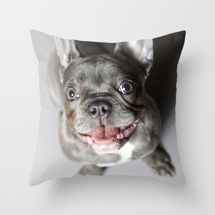 bulldog throw pillow
