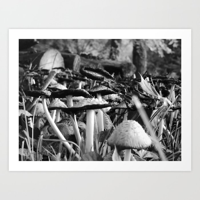 b&w mushrooms II Art Print