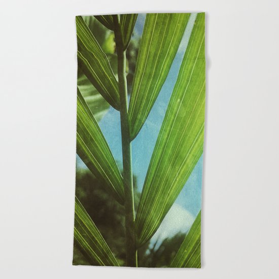 Tropical Outlook Beach Towel