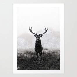 Horns Solo - Realistic Deer Drawing Art Print