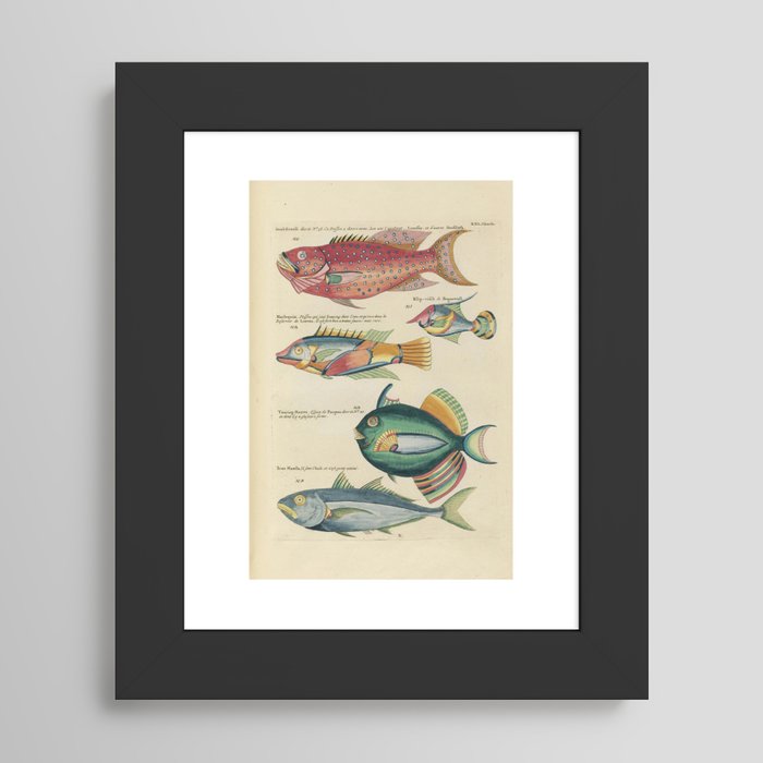 Framed Art Print