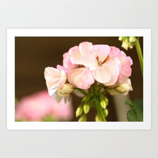 Soft Pink Petals Art Print