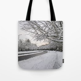 Paths In Winter Tote Bag