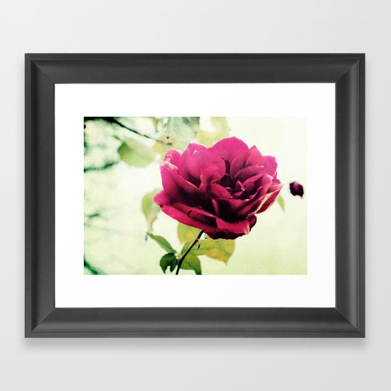 January Rose Framed Art Print