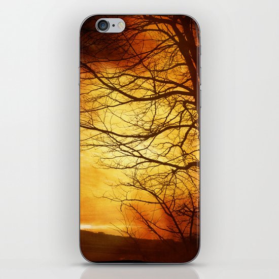 Misty Sunset iPhone & iPod Skin